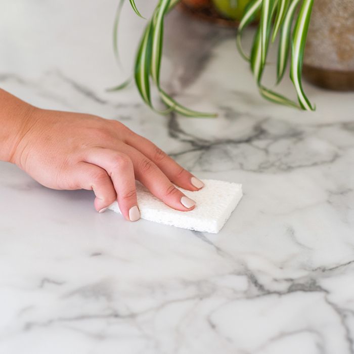 Sponge - Vegetable cellulose