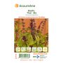 Organic Basil - Thai thumbnail