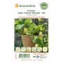 Organic seeds - Yellow wonder alpine strawberry thumbnail