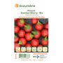 Organic seeds - Szentesi cherry pepper thumbnail