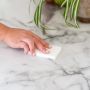 Sponge - Vegetable cellulose thumbnail