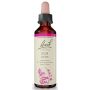 Original flower remedies - Elm thumbnail