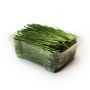 Organic Wheat Sprouts thumbnail