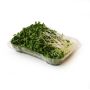 Organic Broccoli Sprouts thumbnail
