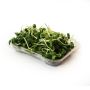Organic Sunflower Sprouts thumbnail