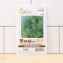 Organic seeds -  Garden Dill thumbnail