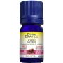 Wild Myrrh Essential Oil Commiphora Myrrha - Skin Disorders thumbnail