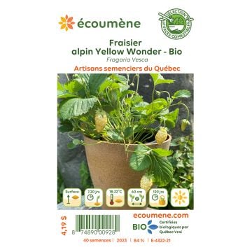 Semences biologiques - Fraisier alpin yellow wonder  