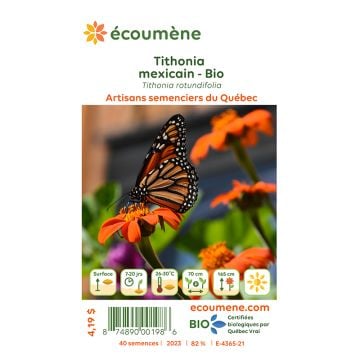 Semences biologiques - Tithonia mexicain 