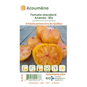 Semences biologiques - Tomate standard ananas  