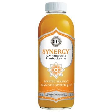 Kombucha Synergy - Mangue Mystique