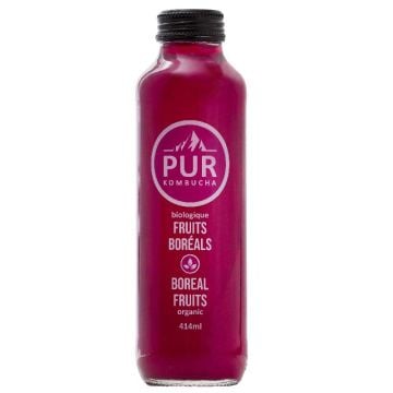 Kombucha biologique -  Fruits boréals