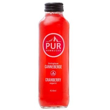 Kombucha biologique  -  Canneberge