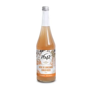 Soda - Bière Gingembre