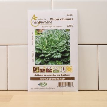 Légumes biologiques  – Chou chinois tatsoi  