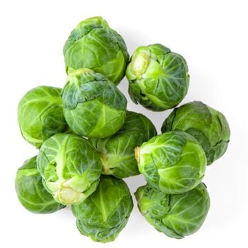 Organic Brussels Sprouts