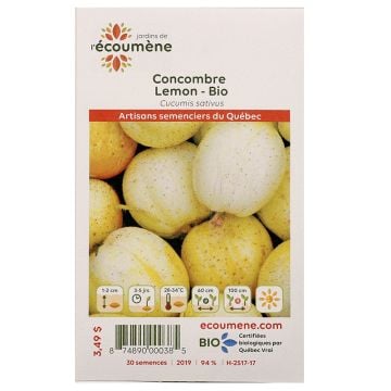 Légumes biologique  - Concombre lemon  