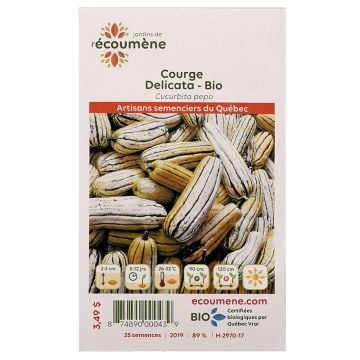 Semences biologiques - Courge Delicata  