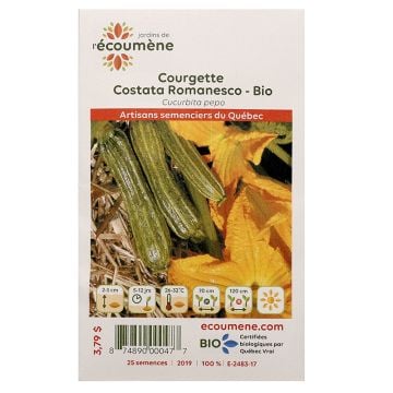 Courges biologiques  - Courgette costata romanesco 