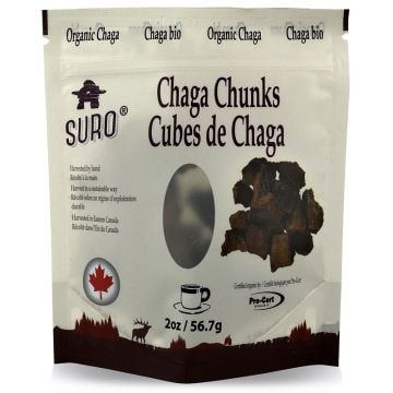 Chaga - Canadien biologique en cubes