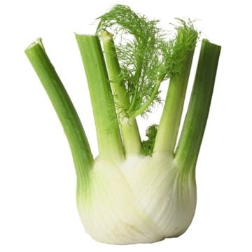  Organic Fennel