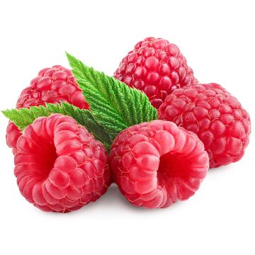 Organic Raspberries  