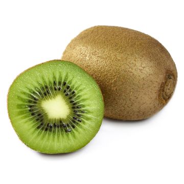 Organic Kiwi