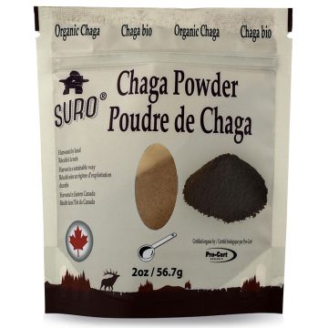 Chaga - Canadien biologique en poudre