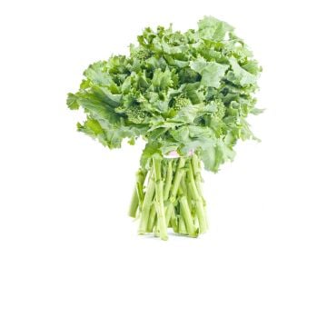 Rapini biologique